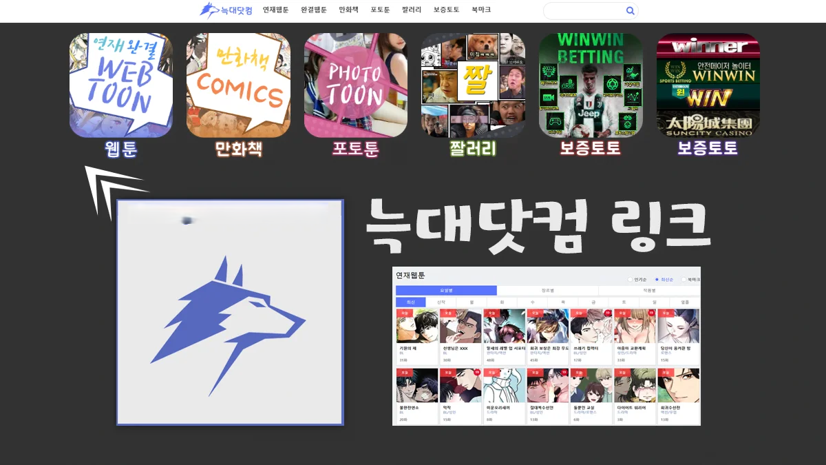 늑대닷컴 최신주소